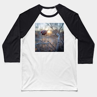 frosty rosehip on a branch Baseball T-Shirt